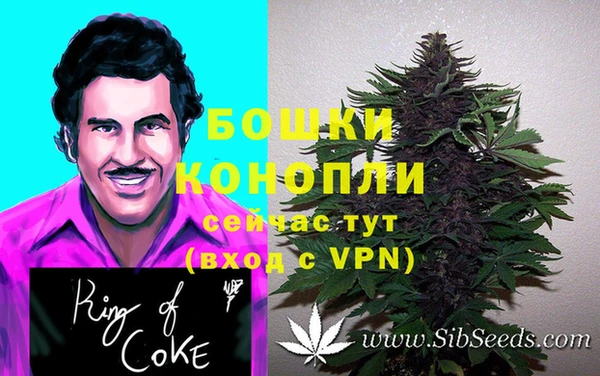 крисы Нефтекумск