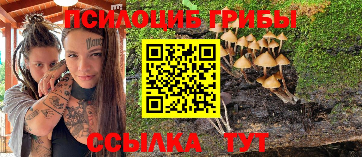 Псилоцибиновые грибы мицелий Невинномысск